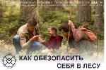 Как обезопасить себя в лесу